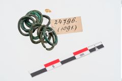 Foto von Bronzering (NHMW-PRAE-024796)